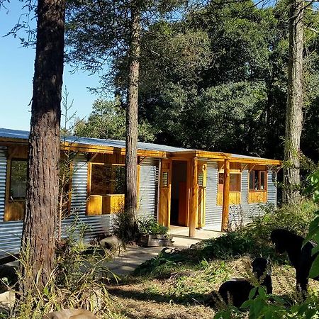 Evergreen Cabin Karkloof Yarrow Eksteriør bilde