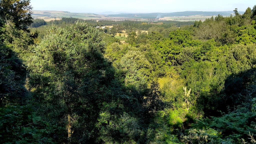 Evergreen Cabin Karkloof Villa Yarrow Eksteriør bilde