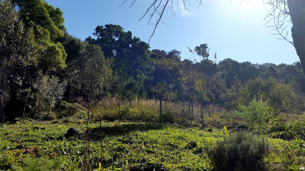 Evergreen Cabin Karkloof Yarrow Eksteriør bilde