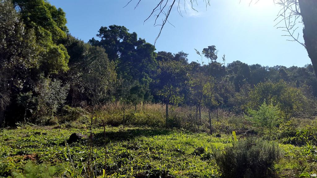 Evergreen Cabin Karkloof Villa Yarrow Eksteriør bilde